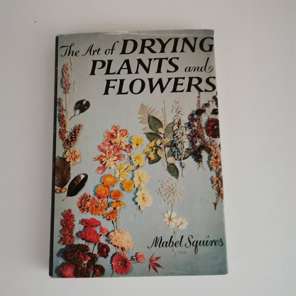 1958 The Art of Drying Plants & Flowers Book Vintage Mabel Squires Yellow Cover - Picture 3 of 11